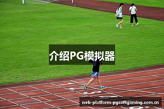 介绍PG模拟器
